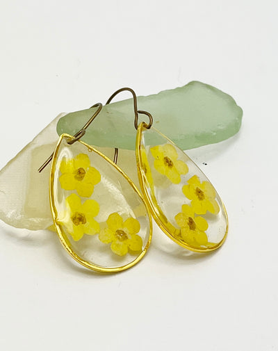 Real Flowers EARRINGS 💛 Forget-me-nots over Clear • Gold frame