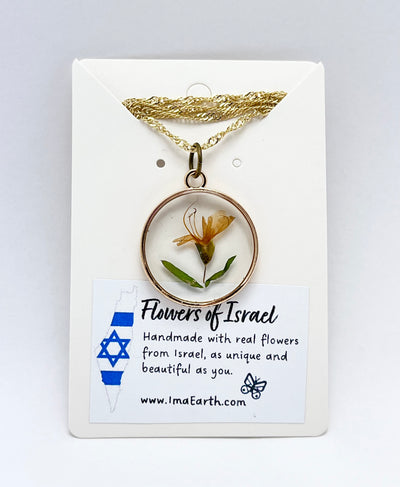 FLOWERS of ISRAEL 🇮🇱: Real Flowers from Israel in Clear Resin • Gold Frame • Necklace