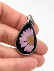 Real Flowers in Resin Pendant - Pink Daisy 💕over Black 🖤, Silver Frame