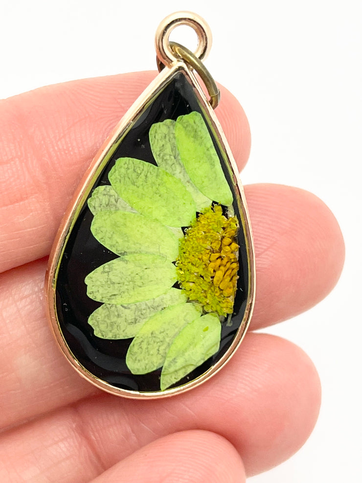 Real Flowers in Resin Pendant - Lime Green 💚💛 Daisy over Black 🖤, Gold Frame