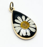 Real Flowers in Resin Pendant -  Echinacea flower over Black Resin • Gold Frame