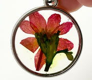 Real Flowers in Resin Pendant - Red flower 🌺 in Clear Resin, Silver Frame