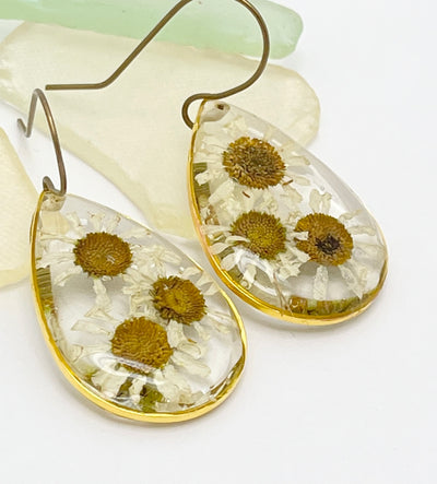 Real Flowers EARRINGS 💛 🤍 Echinacea over Clear • Gold frame