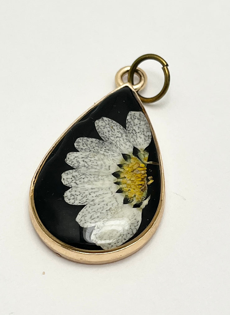 Real Flowers in Resin Pendant - White Daisy 🤍💛 over Black 🖤, Gold Frame