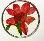 Real Flowers in Resin Pendant - Red flower 🌺 in Clear Resin, Silver Frame