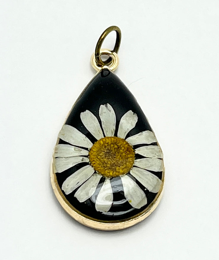 Real Flowers in Resin Pendant -  Echinacea flower over Black Resin • Gold Frame